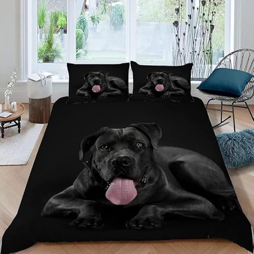 zcJo[_uxbh  }CNt@Co[_uzcJo[Wbp[N[W[ƃR[i[^Ct, |zcJo[190x210 cm + 2 Jo[ 43x63 cm