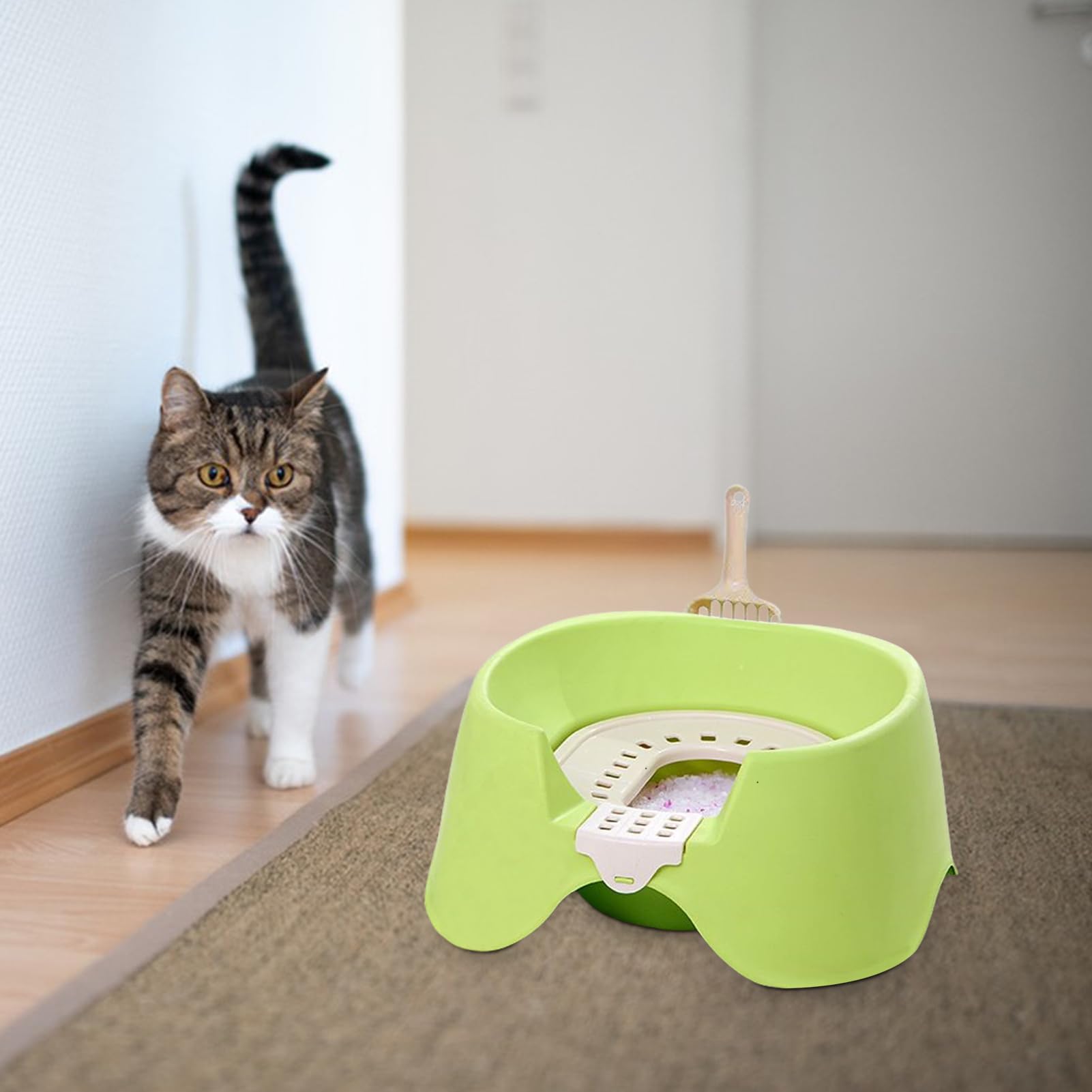 Bac À Litière pour Chat Bac À Litière pour Chaton | Toilettes pour animaux domestiques à bords hauts et ouverture supérieure pour petits appartements, lapins et chats grands