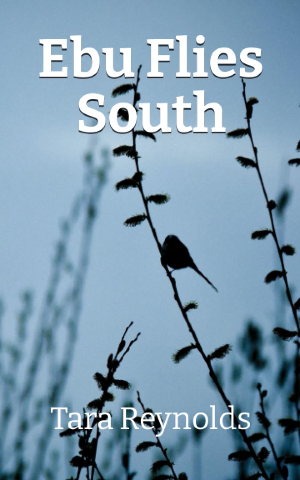 Ebu Flies South: A Chestnut-Sided Warbler on his First Migration