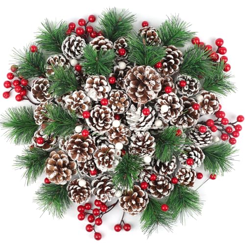 TaoQ C 150 Pièces Décorations de Cônes de Pin Cônes de Pin Naturel Décorations de Branche de pin de Baies de pin cônes de Noël pour Bricolage Artisanat Accueil Noël Hiver Vase Remplissage décoration