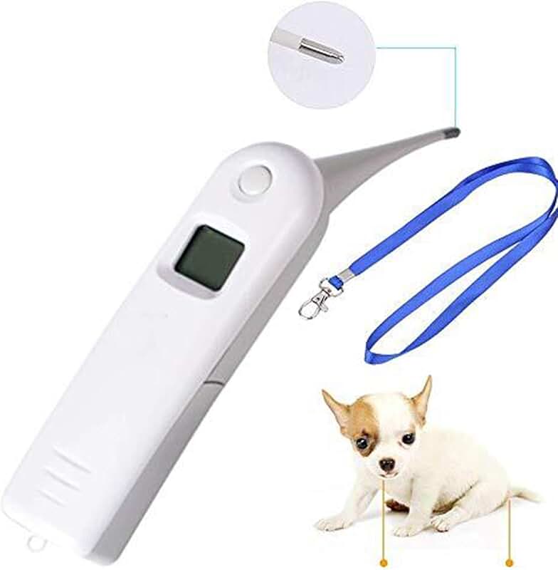 Amazon.ca equine thermometer