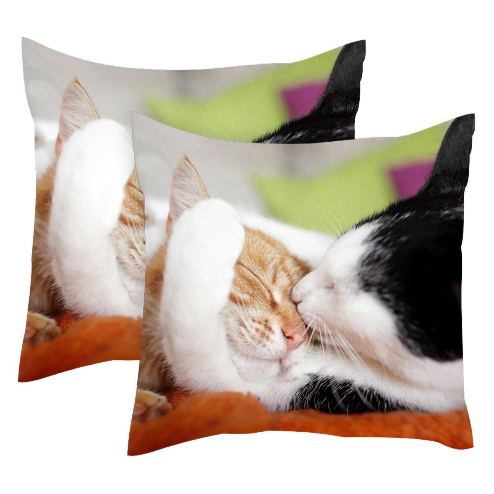 Housses de coussin lombaire chat TBOUOBT pour déco de ferme