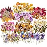 380 Pcs Pressed Flower Sticker Set Dried Flowers Themed Resin Journaling Stickers Floral Natural Botanical Fallen Leaves Decals for Scrapbook Supplies Bullet Junk Journal Bottles Planner Laptops