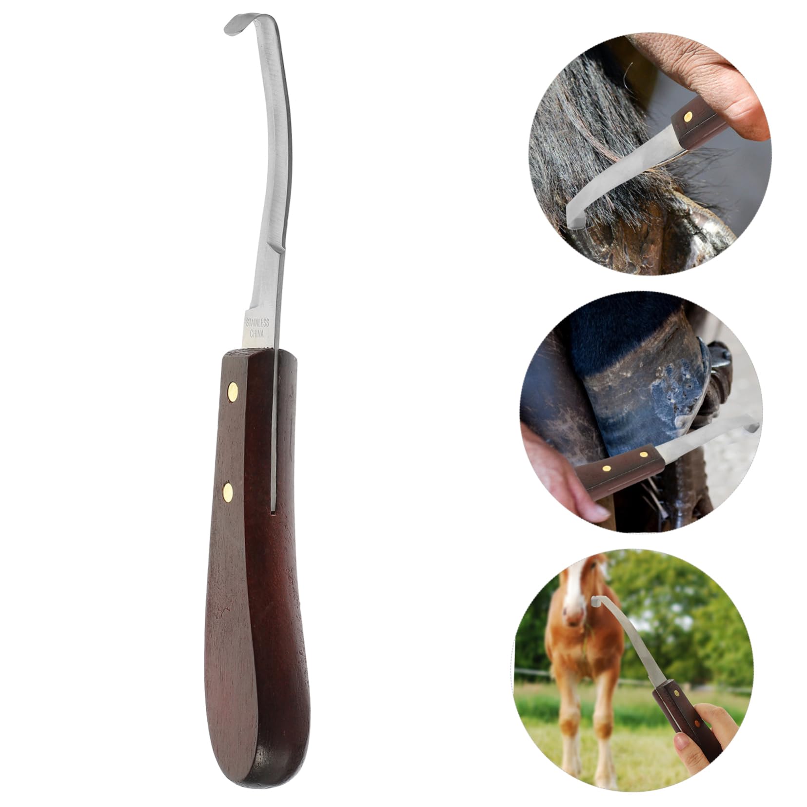 Couteau à Sabot Résistant la Rupture à Double Tranchant en Acier Inoxydable Poignée en Bois Ergonomique pour Usage Quotidien pour Soins des Sabots de Chevaux