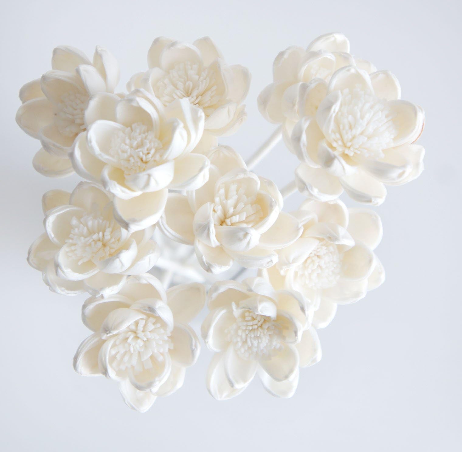 Exotic Plawanature Set of 10 White Lotus Sola Wood Flower with Reed Diffuser for Home Fragrance.