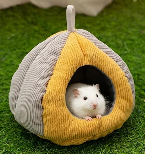 AkaTakara nX^[ nEX ``  J{`̌` xbh  Q Q z bg nlY~ tFbg K V}X  ӂӂ _炩 ? g xbh xe Vя  ΍ (CG[+