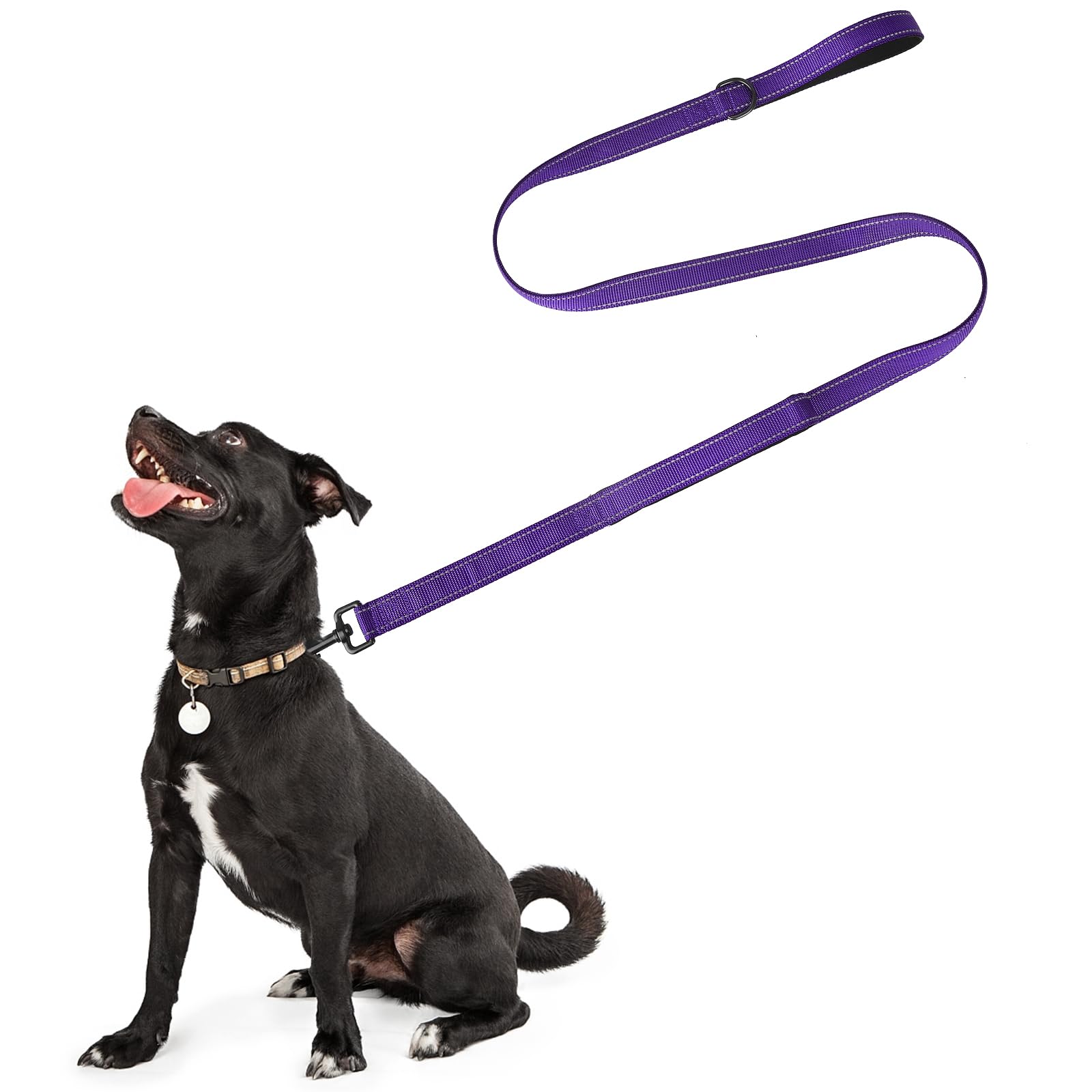 Strong Lead for Large Dogs - 1.5m Close Control Handle Leash, Heavy Duty Nylon Training Leash With Safety Dual Control for Medium and Large Dogs, Reflective Design (Purple)