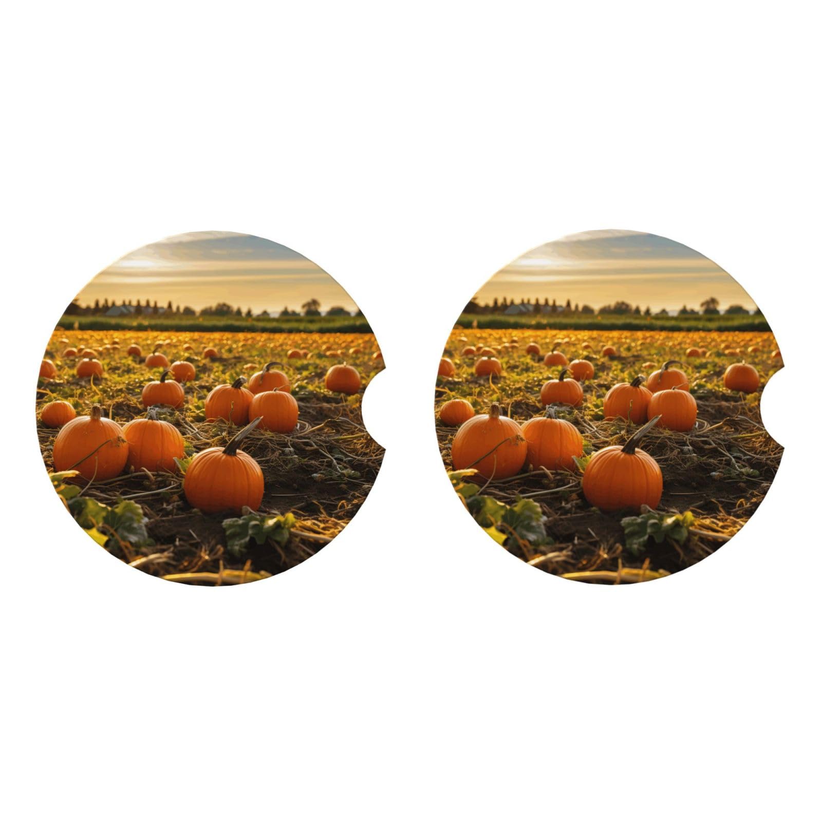Ceramic Coasters for Drinks White Drink Coasters with Metal Holder Pumpkins on the ground Ceramic Coaster Set of 2 Tabletop Protection Mat for Home Decor