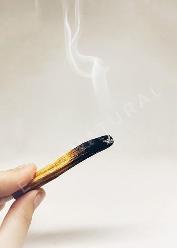 Miniatura 2 de Palos de madera sagrada ecuatoriana de Palo Santo - 100 palos (10 + pulgadas de largo)