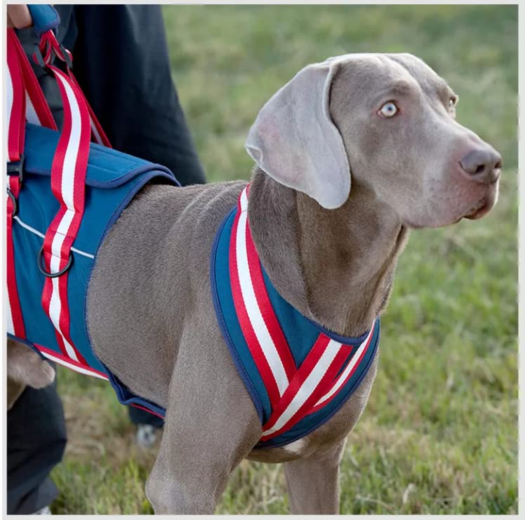 XTrador Dog Harness Carrying Aid for Dogs Especially for Hip Problems Carrying Strap for Injured Older or Restrictive Dogs Rehabilitation Safety Walking Aid (M) - Image 2