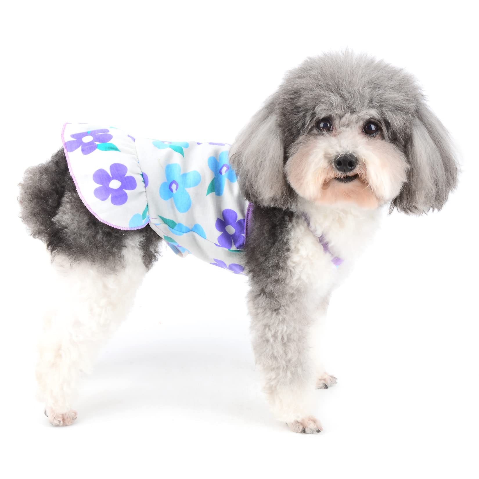 Vestito Per Cani Principessa - Gonna In Tulle Con Fiocco, Bianco, Taglia S Per Cani Piccoli - Foto 6