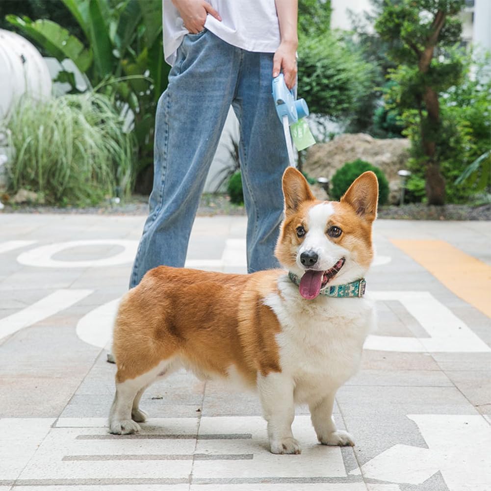 Ausziehbare Hundeleine, verlängerbare Hundeleine mit LED Haustier-Einziehleine mit rutschfestem Griff, abnehmbarer Kotbeutelhalter für kleine bis mittelgroße Hunde bis zu 25 kg mit rutschfestem Griff