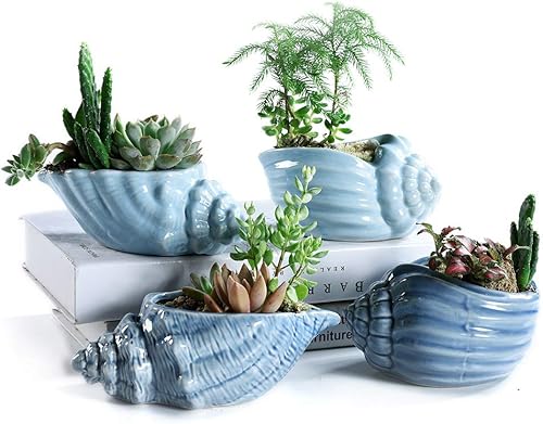 Miniatura 2 de Macetas bonsái de 5.5 pulgadas, serie Blue Conch Ocean Serie, juego de serie de base de cerámica, maceta para suculentas, maceta de cactus, maceta