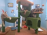 Review Image by Moment Moment