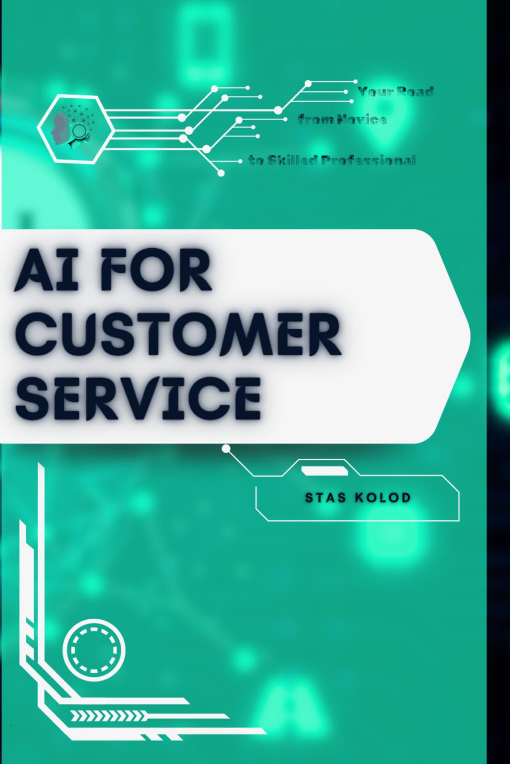 AI for Customer Service: Your Road from Novice to Skilled Professional