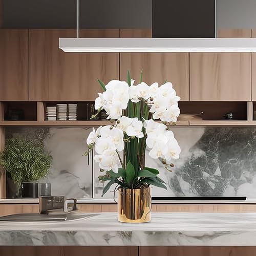Vista 5 de CXGS Plantas artificiales de orquídeas artificiales de tacto real, orquídeas falsas en jarrón de cerámica de 20.9 pulgadas, orquídea falaenopsis