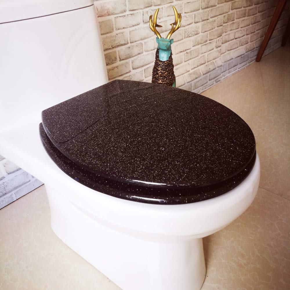 Dxpsxjl One Color Stainless Steel, Modifiable Hinges, Slow Close Close Quick Release Toilet Seat, Lightweight, Durable, Portable, User-Friendly, Compact, Elongated, Round, Universal, Adjustable