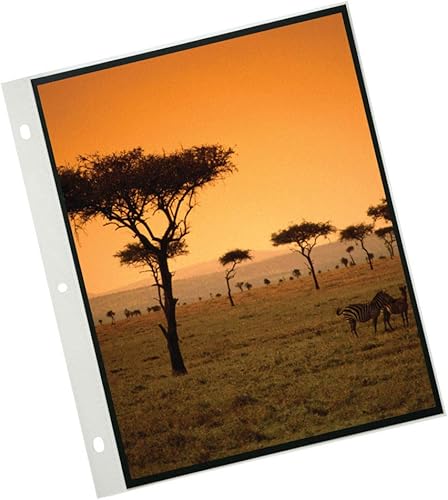 Miniatura 10 de ProFolio by Itoya, Art ProFolio PolyGlass, paquete de 10 páginas de repuesto para carpetas de anillas múltiples, retrato, 8.5 x 11 pulgadas