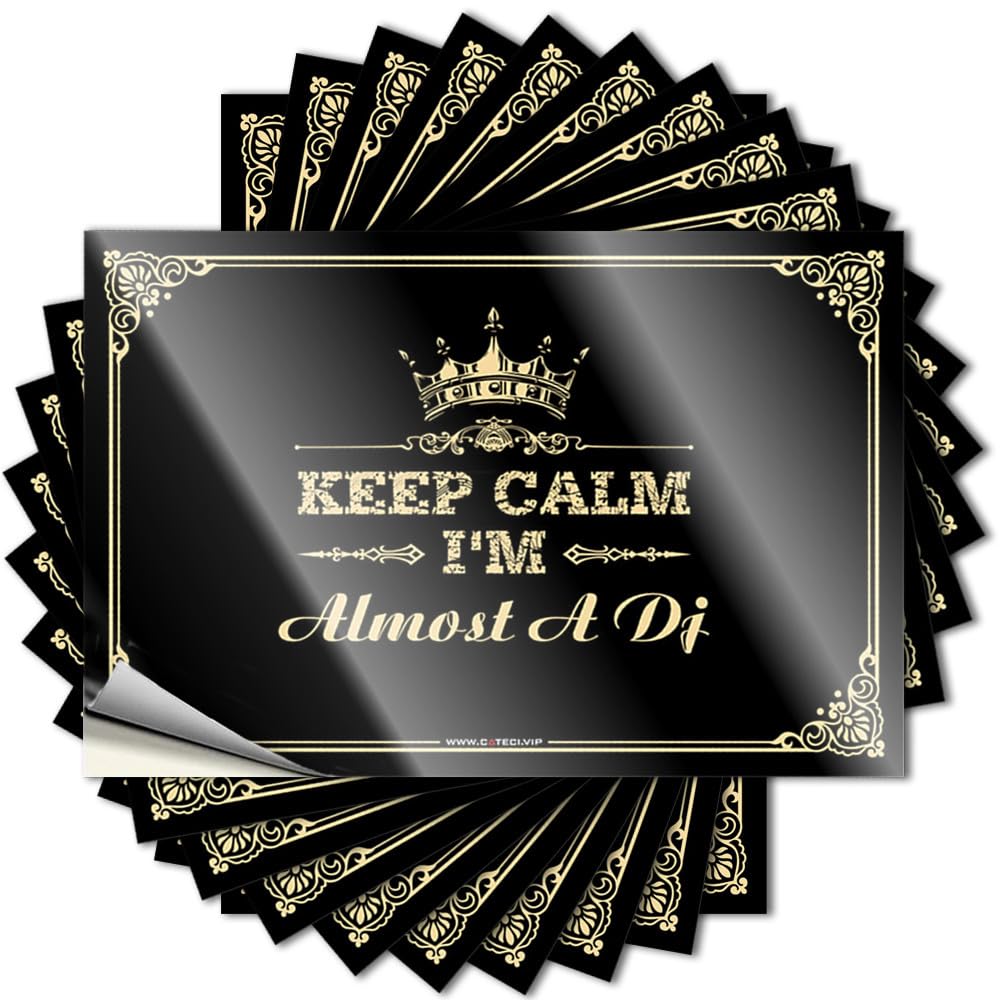 Beer Reusable Funny Sticker - Keep Calm I'm Almost A Dj Assorted Durable Sticker Easy Apply for Surfing Decor(12X18CM)