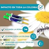 Ver la foto 2