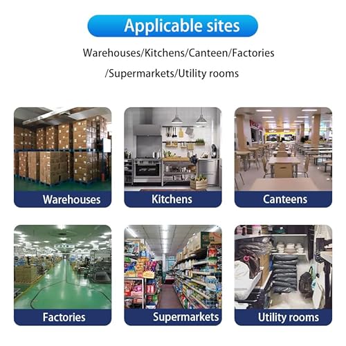 Mäuse Vertreiben,Ultraschall Mausabwehr Mausabwehr, Umwandlung Dual-Frequenz und große Leistung Effizienz, Rattenabwehr, garantiert Ratten Kakerlaken Insekten Spinne zu Kontrollieren Mäuseabwehr