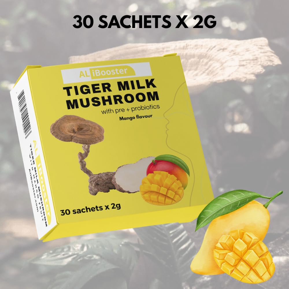 Lignosus Leche de Tigre Champiñón sabor mango Polvo instantáneo natural 30 Bolsitas