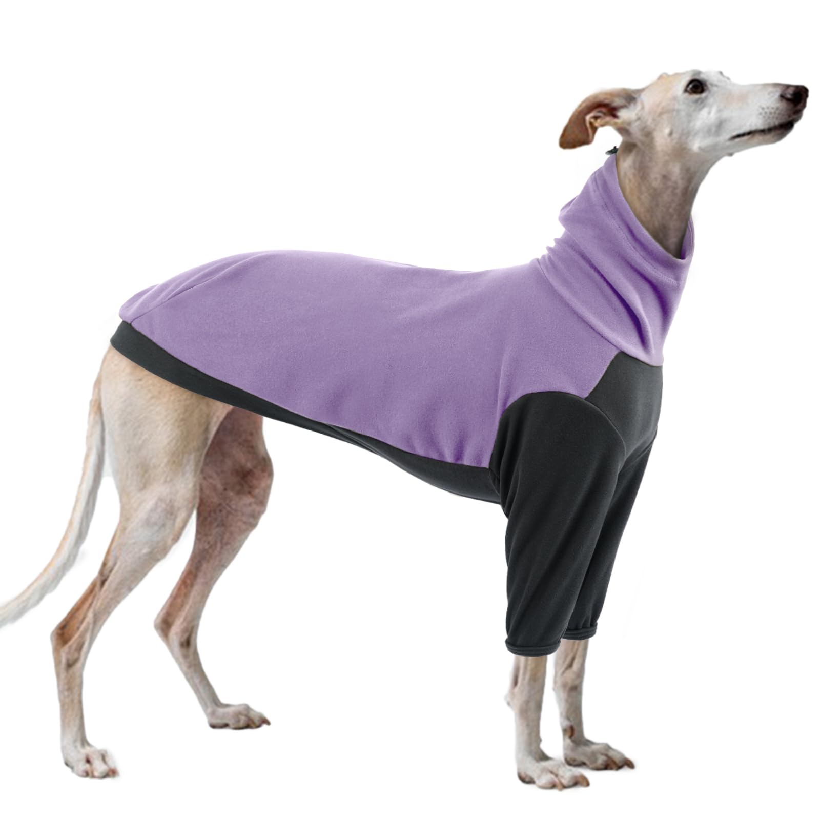 Whippet Jumpers for Dogs, Winter Jumper for Whippet with Neck Warmer Italian Greyhound Clothing Winter Warm & Comfy for Greyhound(Purple, S)