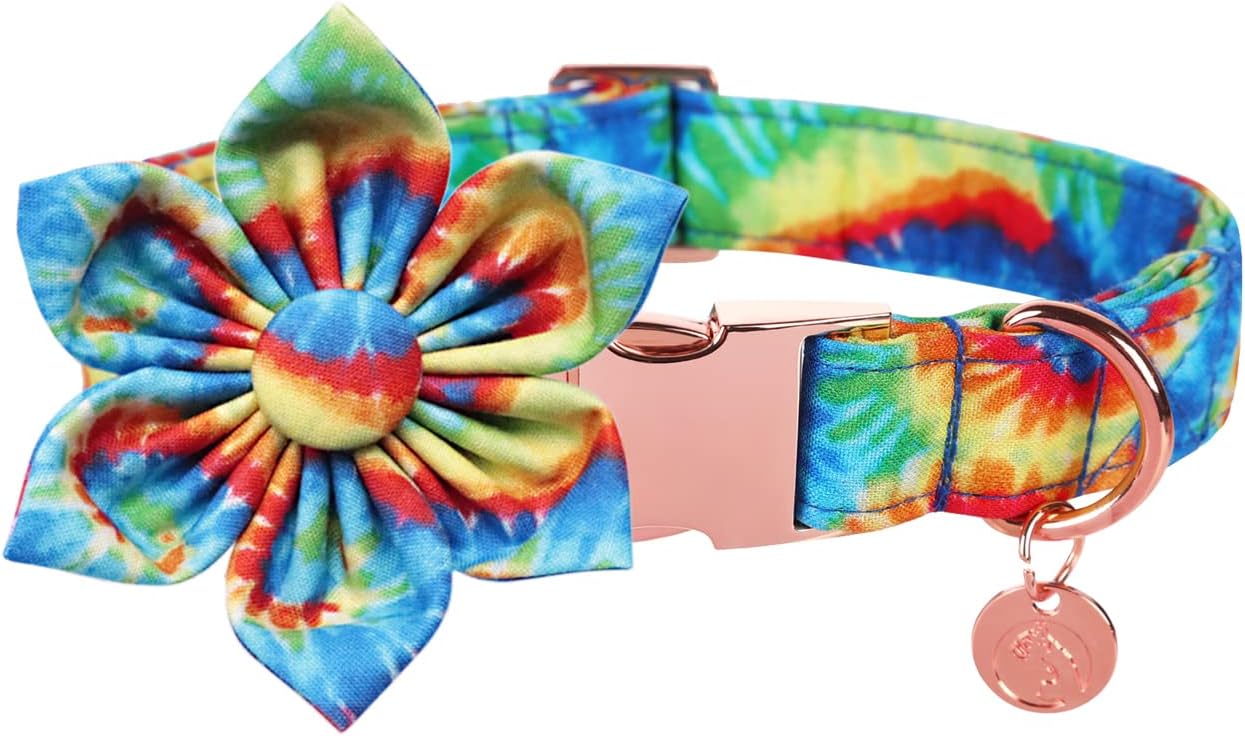 DOGWONG Flower Dog Collar for Female or Male Dogs, Fall Pet