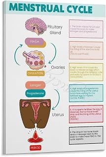 The Menstrual Cycle Poster Fertility Preparation Guide Female Health (10) Canvas Painting for Living Room Bedroom Decor 08x12inch(20x30cm) Frame-style