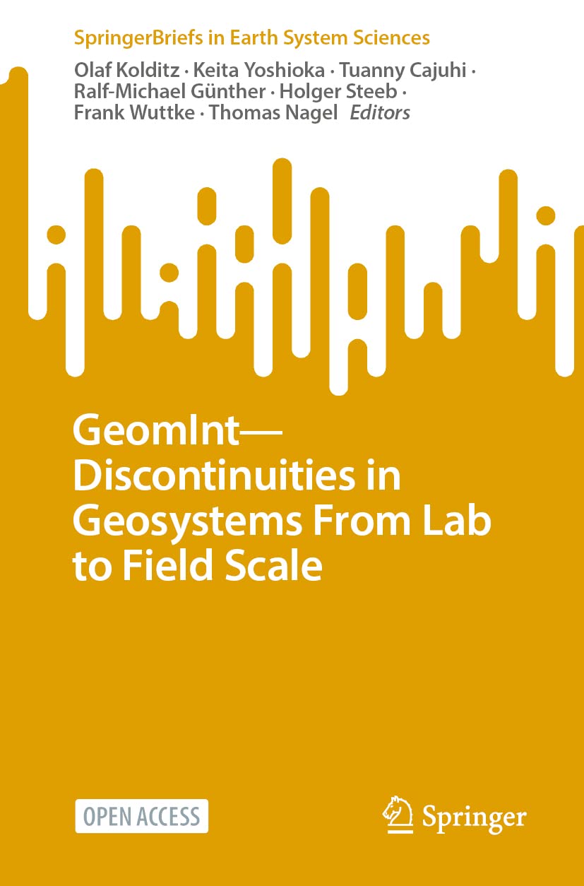 GeomInt--Discontinuities in Geosystems From Lab to Field Scale (SpringerBriefs in Earth System Sciences)