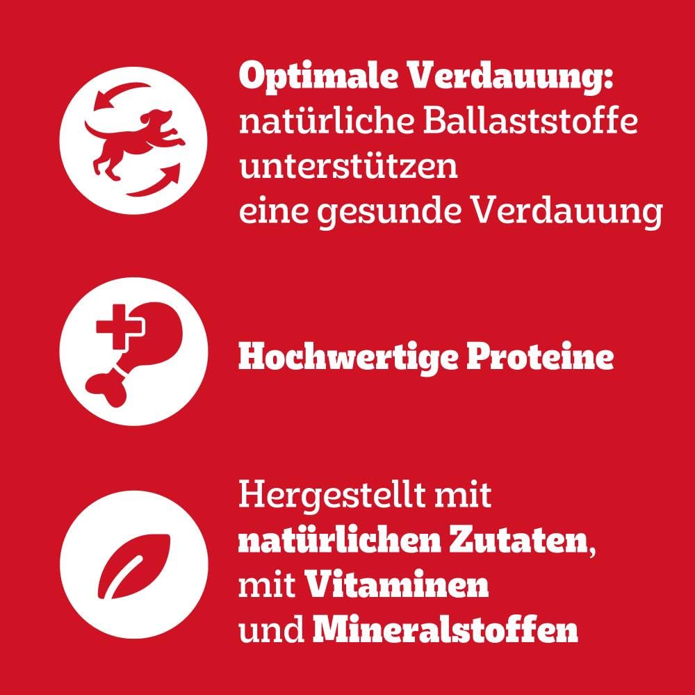 PEDIGREE Adult Multipack Gemischte Selektion in Gelee - Hundenassfutter im Portionsbeutel für erwachsene Hunde - 4 Varietäten - 84 x 100g