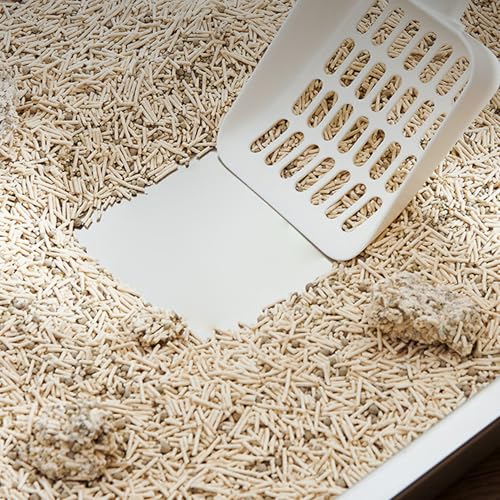 Caja de arena para gato cerrada Luocute acero inoxidable plegable miniatura 6