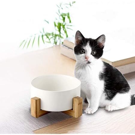 Amazon ペット ボウル 猫 小型犬 食器 陶器 フードボウル 天然竹製スタンド付き 水飲みボウル ペット 給餌器 セラミックス 丈夫 食べやすい 滑り止め 安定 手入れ簡単 ペットの負担を軽減 Color ホワイト Size 850ml Cwysj 食器 ボウル 通販