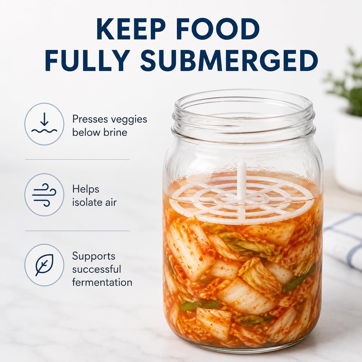 View 6