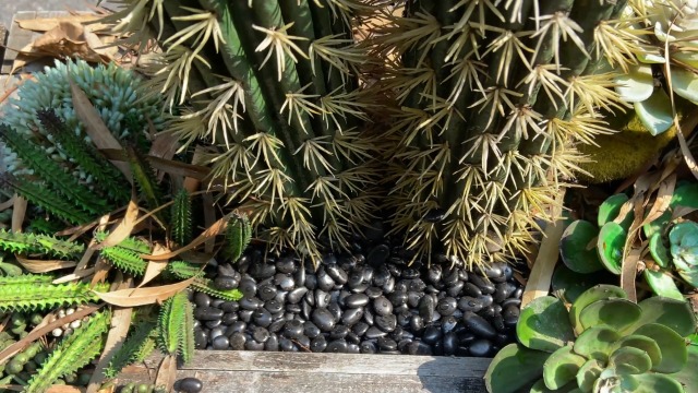 Image of 18lb 1 /4 inch Small Pebbles Black for Plants,Potting,Succulents Aquarium Fish Tank Vases Decorative Garden Polished Gravel Rocks Stones
