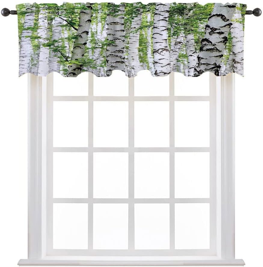 Valance, Woodland Decor Window Curtain, Birch Trees in The Forest Summertime Nature, 60" W x 18" L, Bedroom Bathroom Living Room Dining Room, White Green