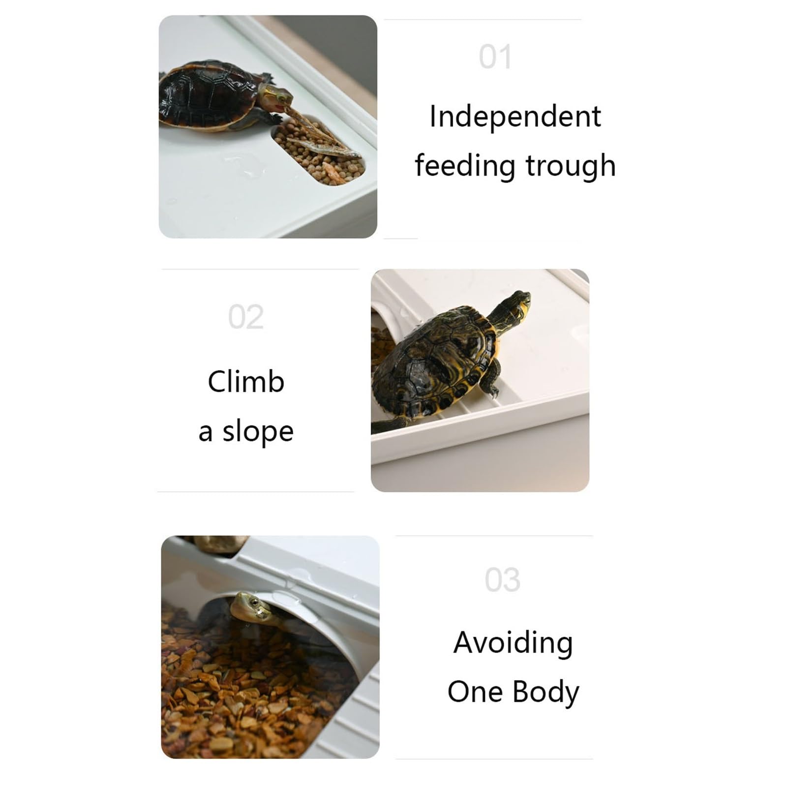 Siedlisko terrarium Hodowla żółwi brazylijskich w domu za pomocą platformy do suszenia na słońcu i zbiornika dla Terrarium akwariowe(Bare box)