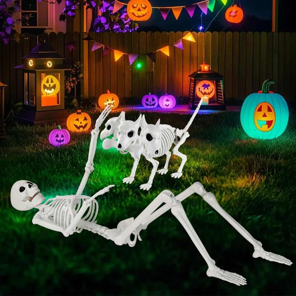 JOLCEEY 1 scheletro mobile per Halloween, 90 cm, realistico, ossa di scheletro umano, articolazioni mobili per tutto il corpo, con scheletro di cane a 3 teste, per oggetti di scena di Halloween