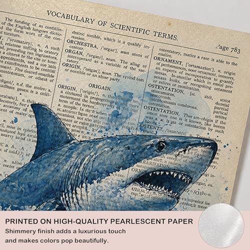 GPMZTJQF Coastal Wall Art Decor Posters, Vintage Ocean Animal Prints for Beach House Bathroom Bedroom, Shark Octopus Turtle Whale Wall Decor, Nautical Coastal Artwork, 8x10 Inch Set of 4 (UNFRAMED) by GPMZTJQF - Used condition - Image 6