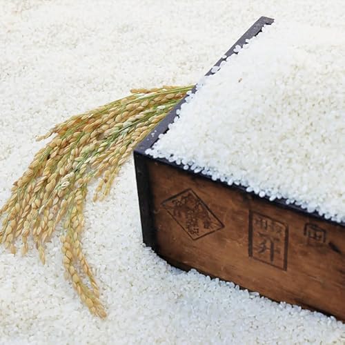 令和8年[2026年お届け]近江米『コシヒカリ』 特別栽培米 20キロ(鮮度保持袋)