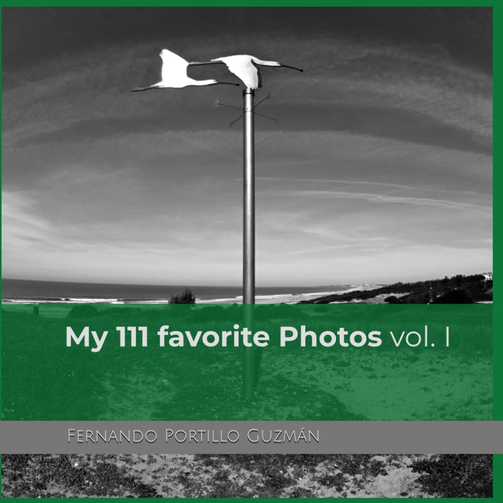 My 111 favorite Photos vol.I