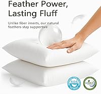 Vista 3 de DWR Juego de 2 rellenos de almohada de plumas de 12 x 12 pulgadas con funda de algodón orgánico, rellenos de almohada decorativos cuadrados blancos