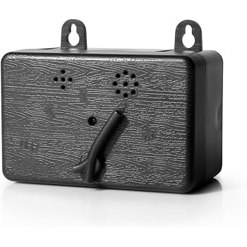 black hawk salmon 15kg