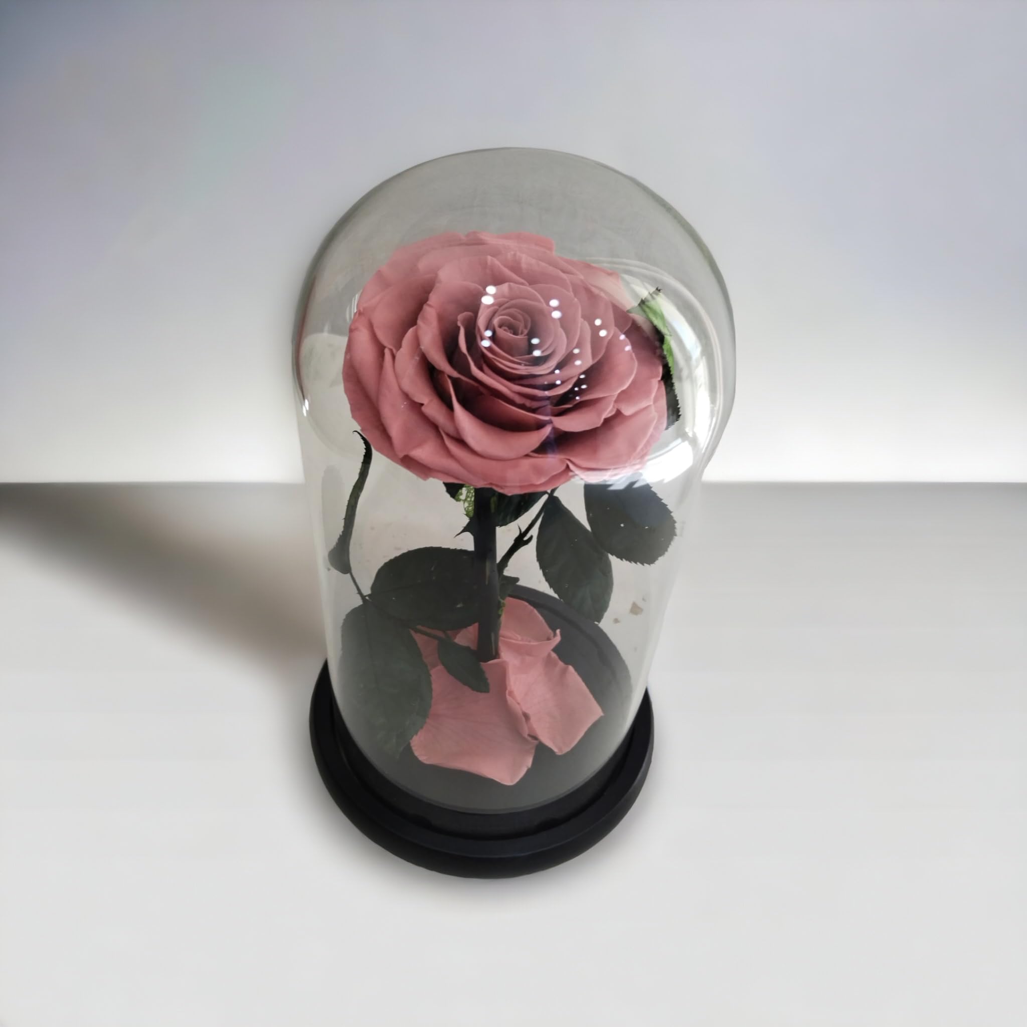 Single Natural Handmade Eternal Romantic Forever roses in glass dome Everlasting Preserved flower Nice Gift for Mother'S Day, Valntine Day, Happy Days, For Women, Girlfriends Gifts (CRAMEL)