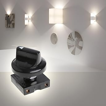 Black Pack Fan Rotary Switch 4 Position 3 Speed Selector Switch Governor with Button Fan Speed Governor Fan Isolator Switch Professional Wall Light Controls