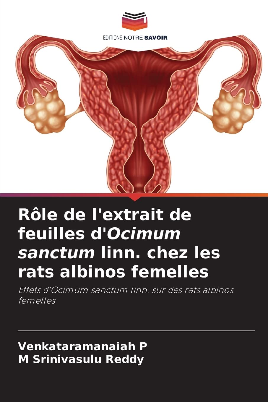 Ocimum sanctum linn. pour rats albinos : étude scientifique complète