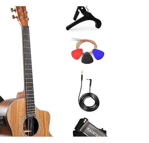 Amazon.com: Kadence Electric Acoustic Guitar A05EQN (Zebra Wood