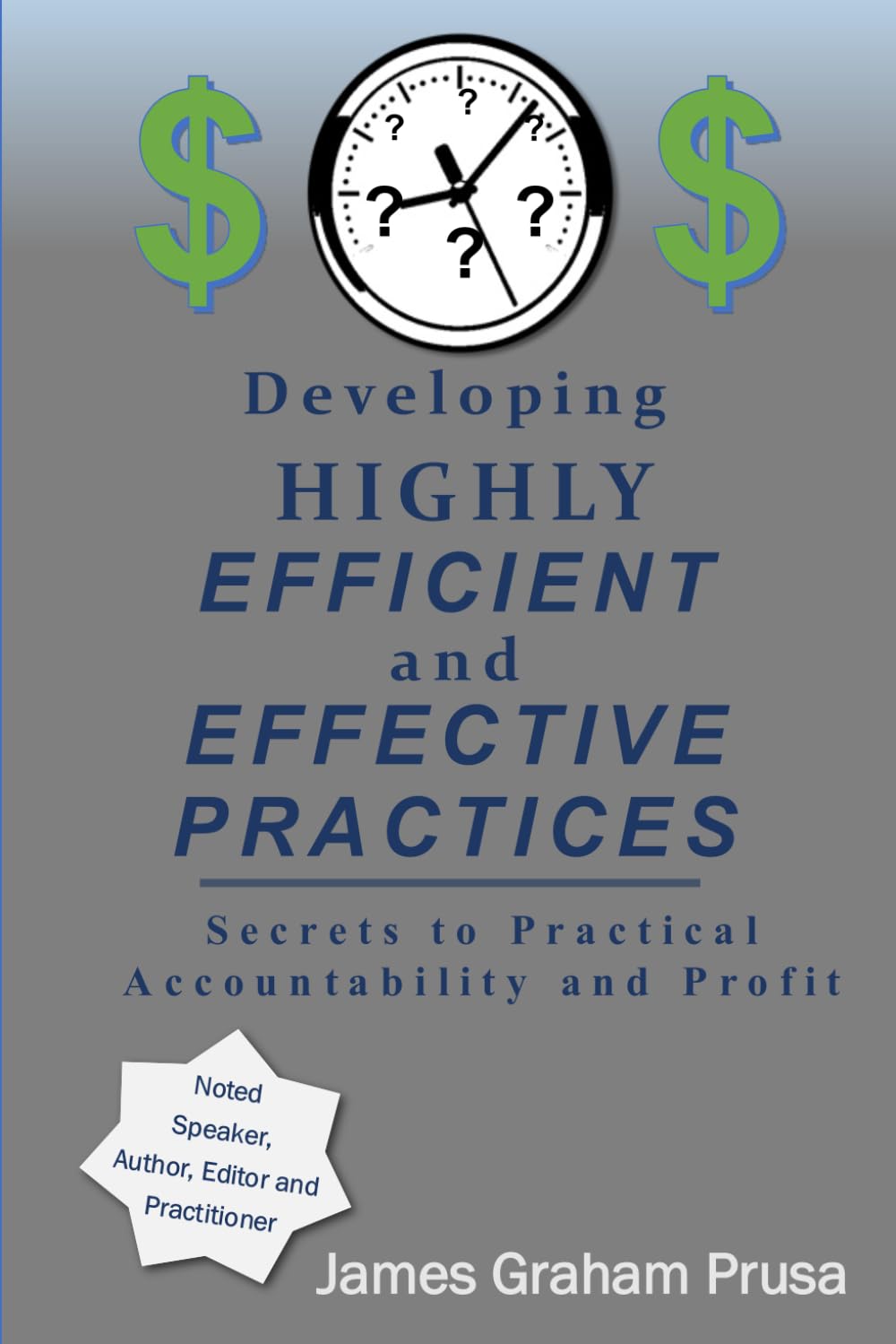 Developing HIGHLY EFFICIENT and EFFECTIVE Practices: Secrets to Practical Accountability and Profit