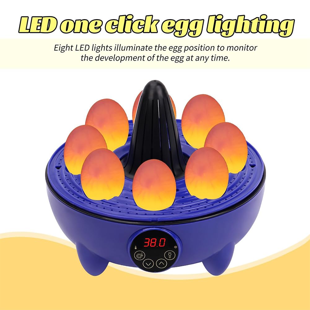 Incubadora digital de huevos de gallina, 8 huevos, control automático de temperatura con visualización de temperatura, mini incubadora de aves de corral para huevos de pato y pájaros, huevo de giro