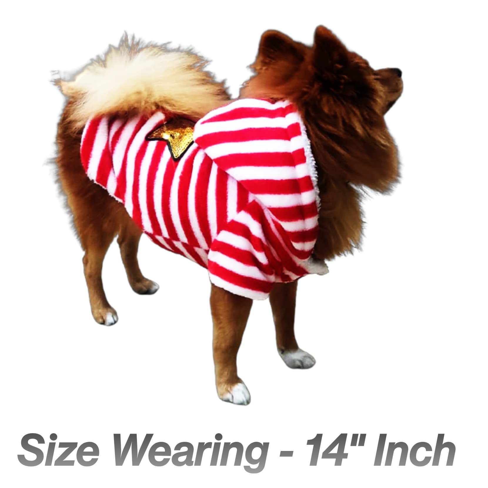 Petlicious & More® Design - Star Dogs Winter Hoodie for Dogs, Soft Fleece Puppy Clothes Doggie Shirt Winter Outfits Sweatshirt for Small Dogs, Puppies & Cats (Size - 14 Inches, Color - Red) 1